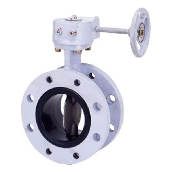 KITZ開滋齒輪操作式不銹鋼20K晶圓形蝶形閥門G-20UHB-300A