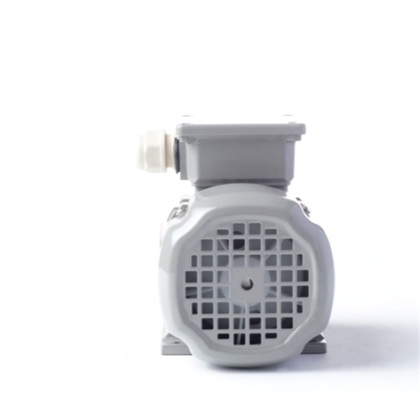 德國AC MOTOREN防火防爆電機E3-ASA 132 S 4