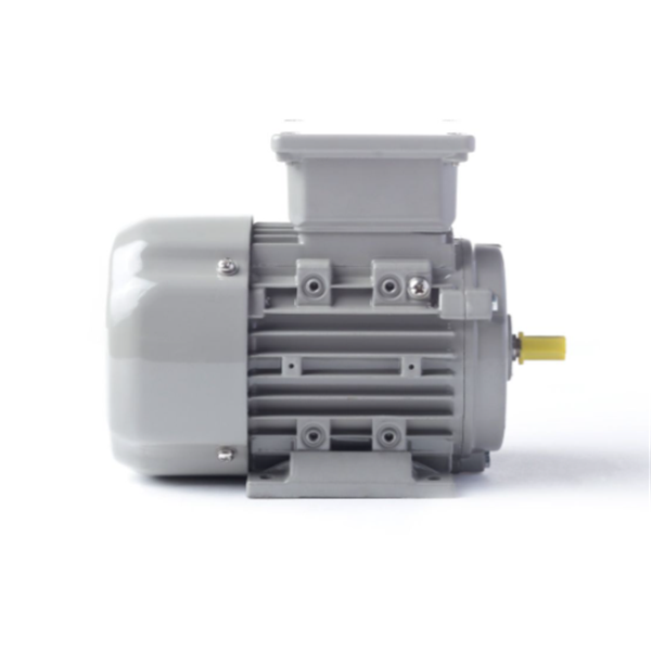 德國AC MOTOREN防火防爆電機E3-ASA 132 S 4