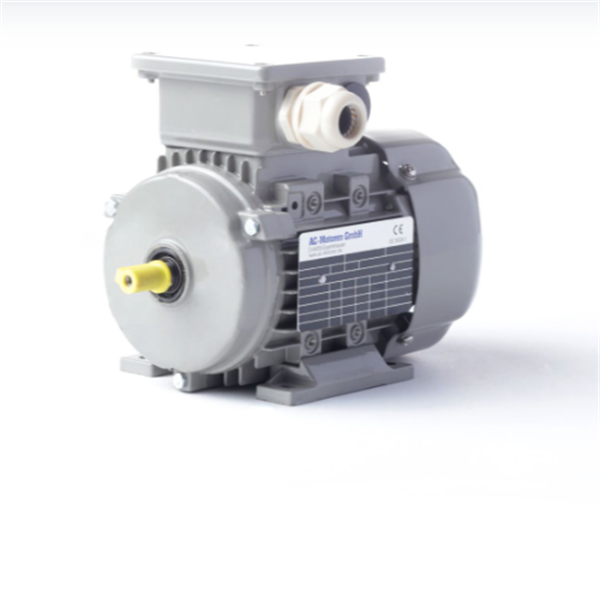 德國AC MOTOREN防火防爆電機E3-ASA 132 S 4